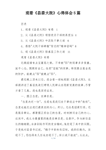 观看《县委大院》心得体会5篇