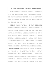 县两新结对凝心聚力书记项目共促发展典型材料