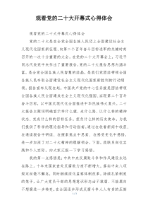 观看党的二十大开幕式心得体会