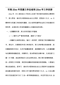 市局20XX年党建工作总结和20XX年工作安排