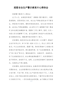 观看安全生产警示教育片心得体会