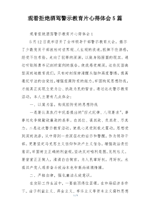 观看拒绝酒驾警示教育片心得体会5篇