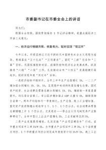 会议讲话市委副书记在市委全会上的讲话