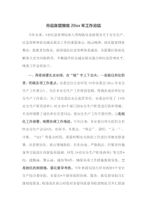 市应急管理局20XX年工作总结