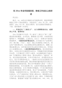 在20XX年全市发展改革粮食工作会议上的讲话