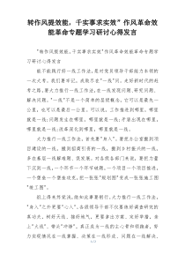 转作风提效能，千实事求实效”作风革命效能革命专题学习研讨心得发言