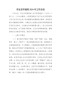 市生态环境局2024年工作总结