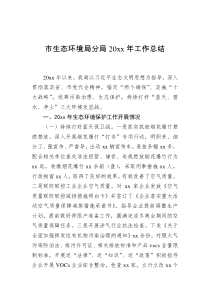 市生态环境局分局20XX年工作总结