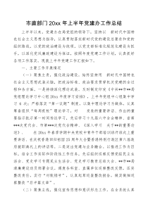 市直部门20XX年上半年党建办工作总结