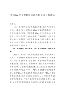 在20XX年全市自然资源工作会议上的讲话