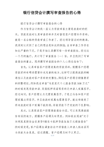银行信贷会计撰写审查报告的心得
