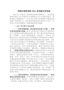 市统计局党支部20XX年党建工作总结