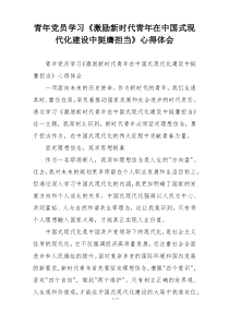 青年党员学习《激励新时代青年在中国式现代化建设中挺膺担当》心得体会