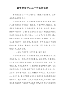青年党员学习二十大心得体会
