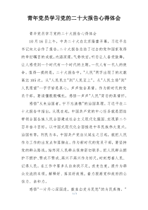 青年党员学习党的二十大报告心得体会