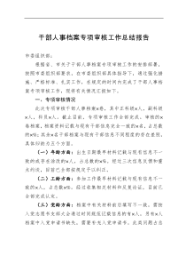 干部人事档案专项审核工作总结报告