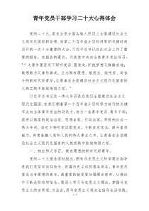 青年党员干部学习二十大心得体会