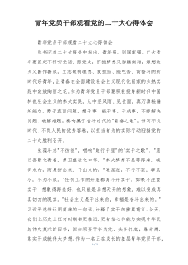 青年党员干部观看党的二十大心得体会