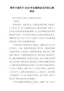 青年干部关于2025年全国两会召开的心得体会