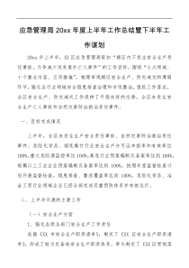 应急管理局20XX年度上半年工作总结暨下半年工作谋划