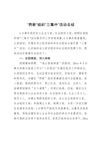 总结两新组织三集中活动总结