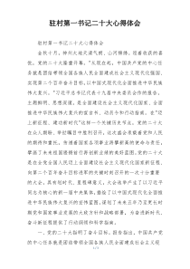 驻村第一书记二十大心得体会