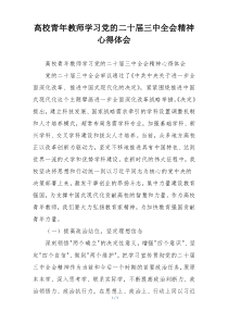 高校青年教师学习党的二十届三中全会精神心得体会
