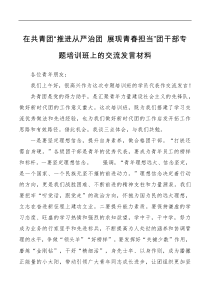 在共青团推进从严治团展现青春担当团干部专题培训班上的交流