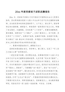 总结报告20XX年度党委班子述职述廉报告