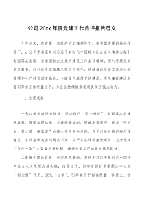 总结报告20XX年度党建工作自评报告范文集团企业党建工作汇报总结