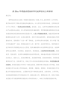 在20XX年局基层党组织书记述职会议上的讲话