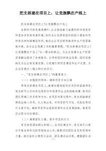 把支部建在项目上，让党旗飘在产线上