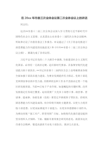 在20XX年市委三次全体会议第二次全体会议上的讲话