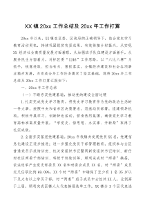 总结报告XX镇20XX工作总结及20XX年工作打算