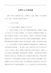 总结报告个人总结公司个人工作总结范文述职报告工会乡村振兴统战群团女工等工作