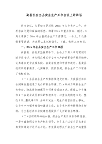 副县长在全县安全生产工作会议上的讲话