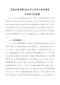 总结报告区农业农村局20XX年上半年工作总结及下半年工作安排