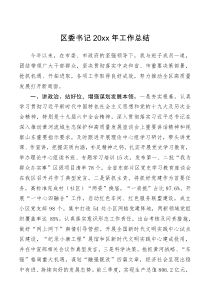 总结报告区委书记20XX年工作总结
