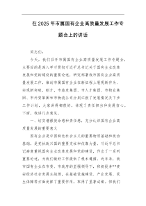 在2025年市属国有企业高质量发展工作专题会上的讲话