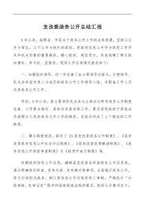 总结报告发改委政务公开总结汇报