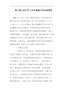 审计局2025年上半年党建工作总结报告