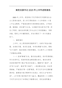 局党支部书记2025年上半年述职报告