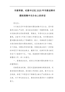 市委常委纪委书记在2025年市委巡察问题线索集中交办会上的讲话