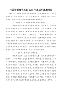 总结报告市国资委班子成员20XX年度述职述廉报告