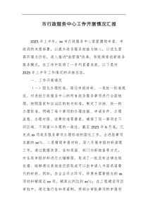 市行政服务中心工作开展情况汇报