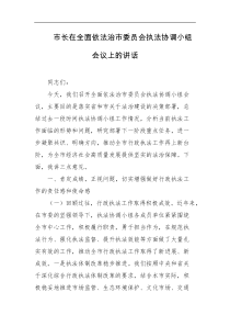 市长在全面依法治市委员会执法协调小组会议上的讲话