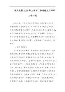某党支部2025年上半年工作总结及下半年工作计划