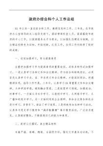 总结报告政府办综合科个人工作总结