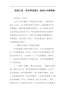 经验汇报抓改革促振兴绘就乡村新画卷