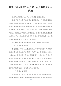 锻造“三支队伍”生力军，夯实基层党建主阵地